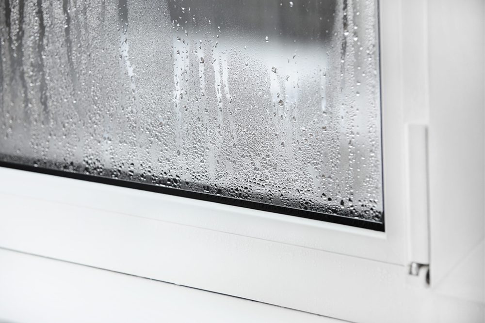RM Windows Ltd